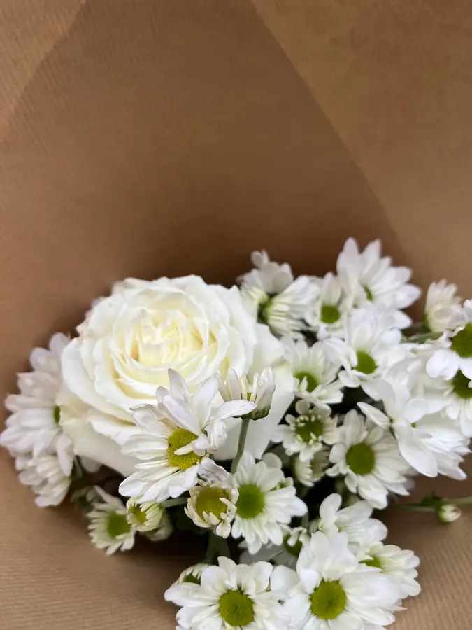 Weiße Rose und Margeriten in Kraftpapier